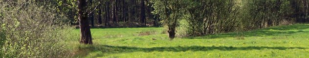 zomerland